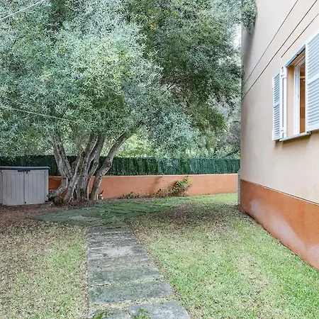 Olot Apartment